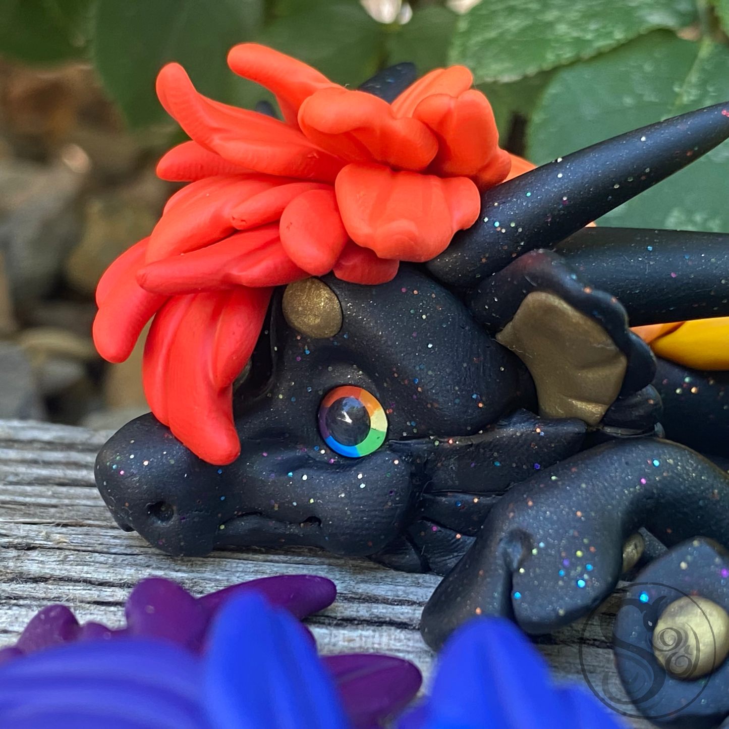 Black Rainbow Dragon