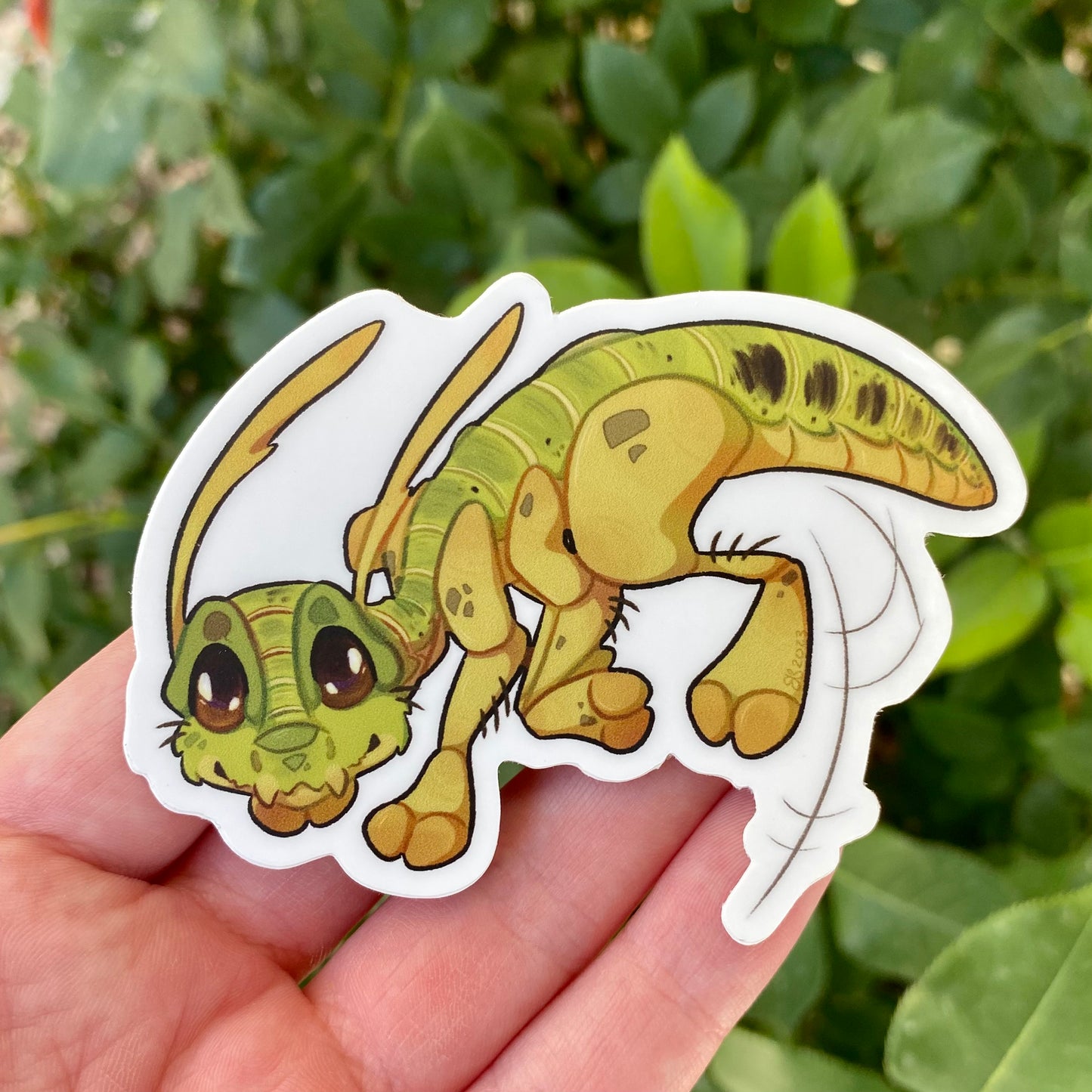Bug-Dragon Stickers